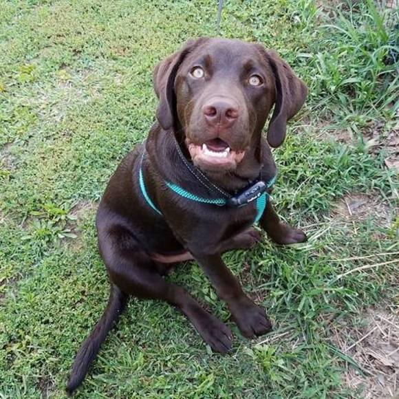 Meet your Posher, Jerri - Picture 1 of 1